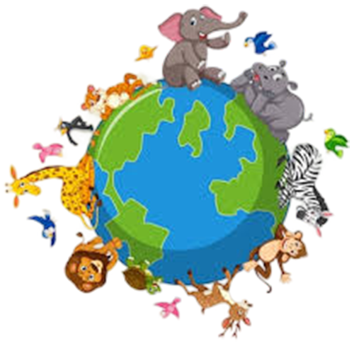 Support Animal Rescue: Your Generosity Makes A Difference!💖🐨🦉🐶