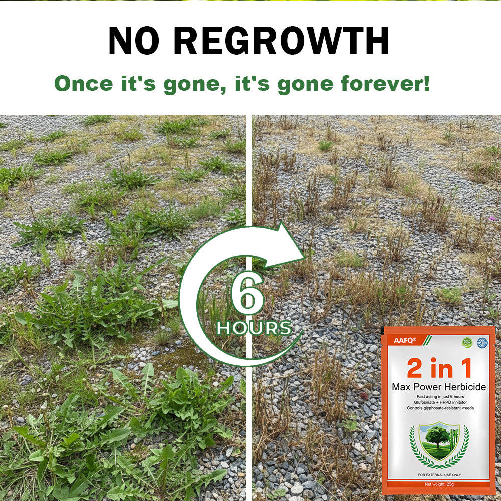 🌲𝐄𝐏𝐀 𝐀𝐏𝐏𝐑𝐎𝐕𝐄𝐃&𝐀𝐔𝐓𝐇𝐎𝐑𝐈𝐙𝐄𝐃 𝐒𝐓𝐎𝐑𝐄 | 🔥Hot Sale- 50%OFF🌿 | AAFQ® 2 in 1 Max Power Herbicide