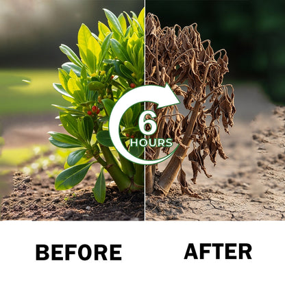 🌲𝐄𝐏𝐀 𝐀𝐏𝐏𝐑𝐎𝐕𝐄𝐃&𝐀𝐔𝐓𝐇𝐎𝐑𝐈𝐙𝐄𝐃 𝐒𝐓𝐎𝐑𝐄 | 🔥Hot Sale- 50%OFF🌿 | AAFQ® 2 in 1 Max Power Herbicide