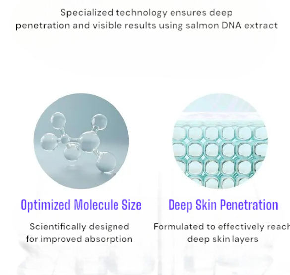 🔥Last Day Promotion AAFQ® Turnover Ampoule – DNA-Based Anti-Aging Serum for Firm, Radiant, Youthful Skin – 1.69 fl oz